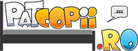 Patcopii
